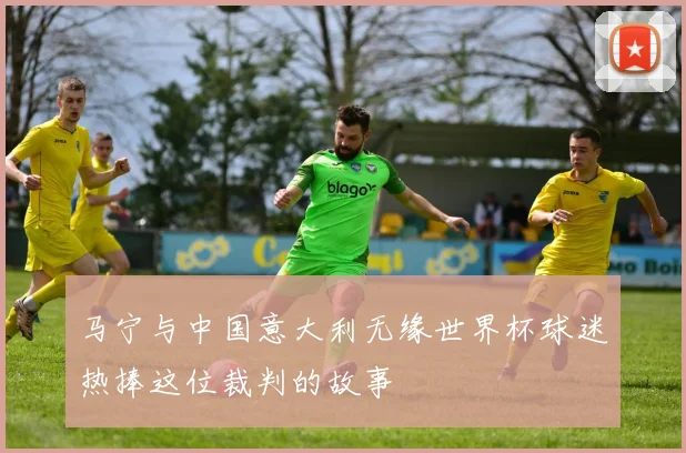 马宁与中国意大利无缘世界杯球迷热捧这位裁判的故事