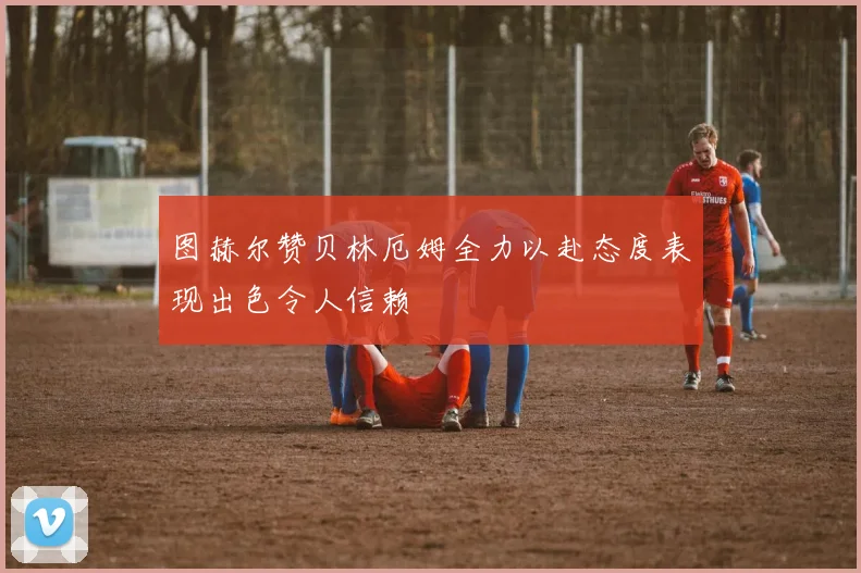 图赫尔赞贝林厄姆全力以赴态度表现出色令人信赖