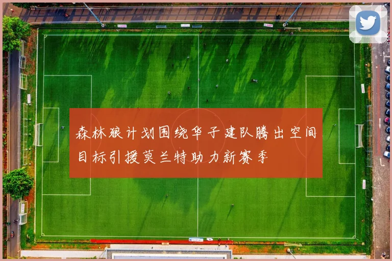 森林狼计划围绕华子建队腾出空间目标引援莫兰特助力新赛季