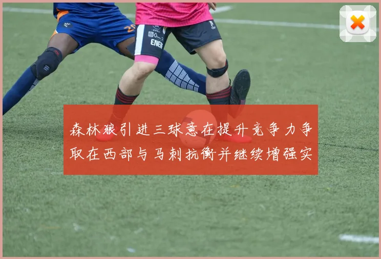 森林狼引进三球意在提升竞争力争取在西部与马刺抗衡并继续增强实力